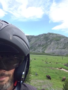 buffaloselfieyellowstone